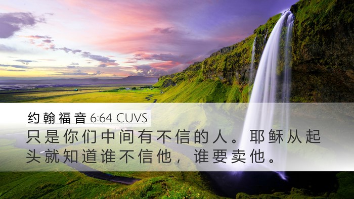 约 翰 福 音 6:64 CUVS Bible Verse Image