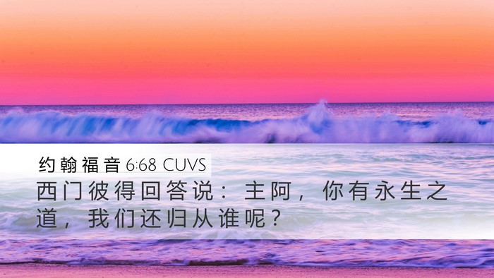 约 翰 福 音 6:68 CUVS Bible Verse Image