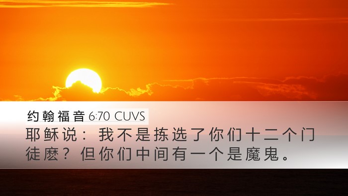 约 翰 福 音 6:70 CUVS Bible Verse Image