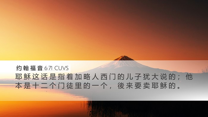 约 翰 福 音 6:71 CUVS Bible Verse Image