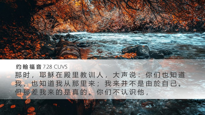 约 翰 福 音 7:28 CUVS Bible Verse Image