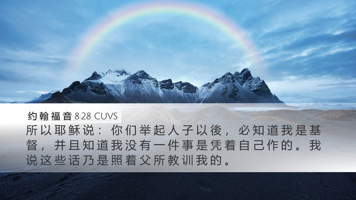 约 翰 福 音 8:28 CUVS Bible Verse Image