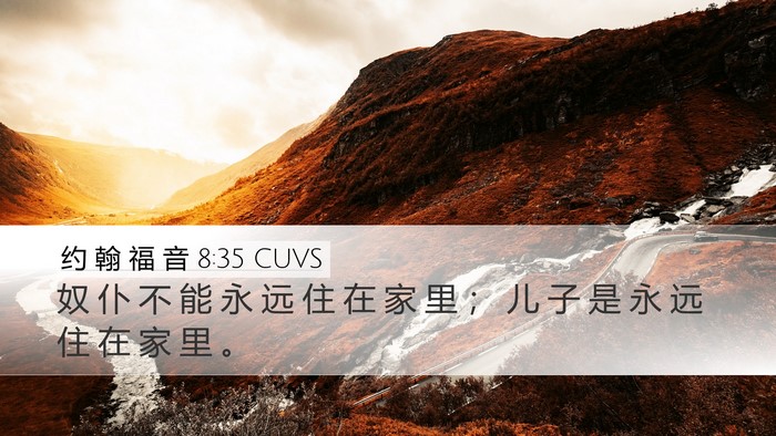 约 翰 福 音 8:35 CUVS Bible Verse Image