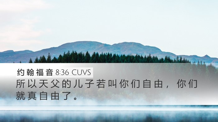 约 翰 福 音 8:36 CUVS Bible Verse Image