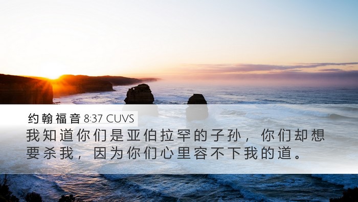 约 翰 福 音 8:37 CUVS Bible Verse Image