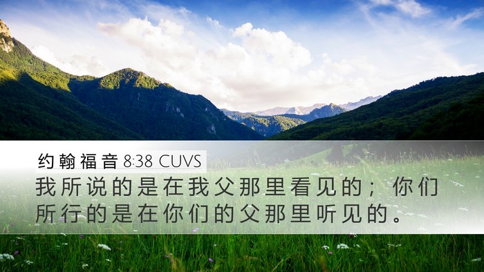 约 翰 福 音 8:38 CUVS Bible Verse Image
