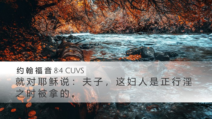 约 翰 福 音 8:4 CUVS Bible Verse Image
