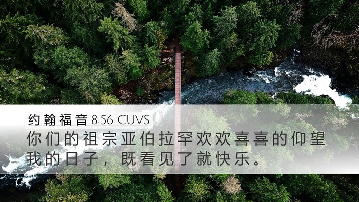 约 翰 福 音 8:56 CUVS Bible Verse Image
