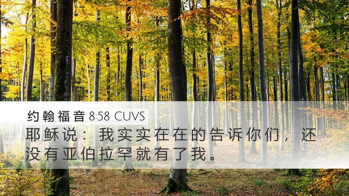约 翰 福 音 8:58 CUVS Bible Verse Image