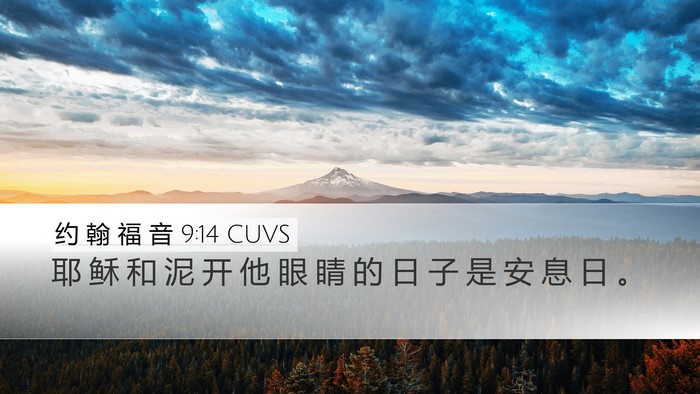 约 翰 福 音 9:14 CUVS Bible Verse Image