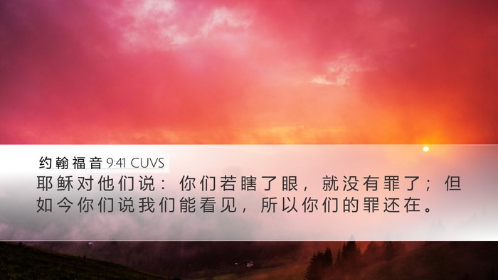 约 翰 福 音 9:41 CUVS Bible Verse Image
