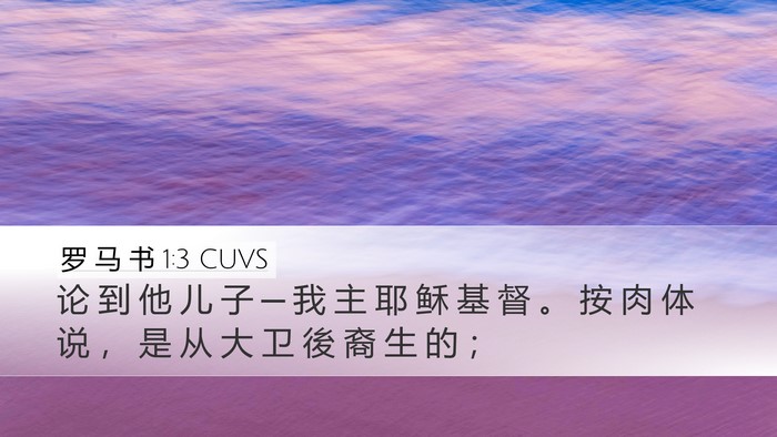 罗 马 书 1:3 CUVS Bible Verse Image