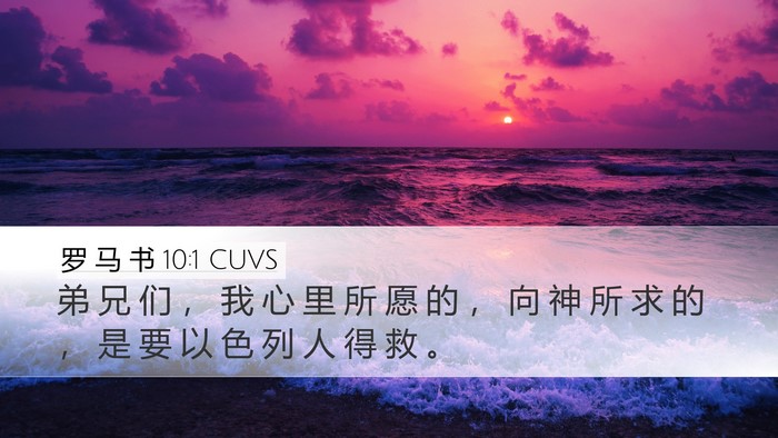 罗 马 书 10:1 CUVS Bible Verse Image