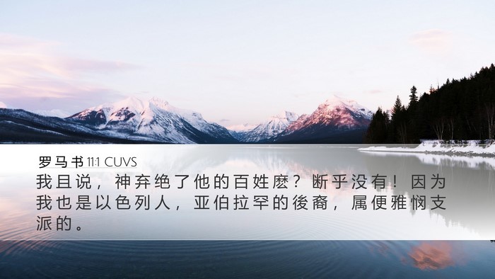 罗 马 书 11:1 CUVS Bible Verse Image