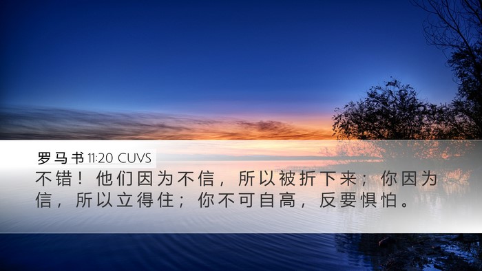 罗 马 书 11:20 CUVS Bible Verse Image