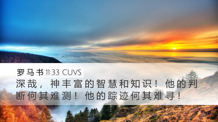 罗 马 书 11:33 CUVS Bible Verse Image