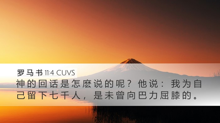 罗 马 书 11:4 CUVS Bible Verse Image