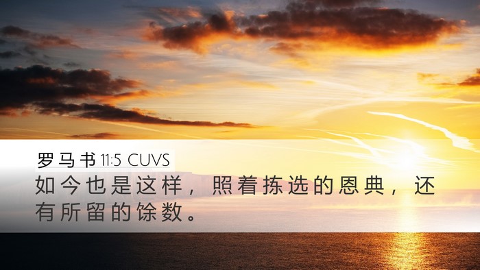 罗 马 书 11:5 CUVS Bible Verse Image