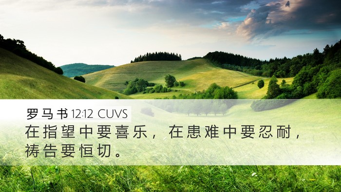 罗 马 书 12:12 CUVS Bible Verse Image