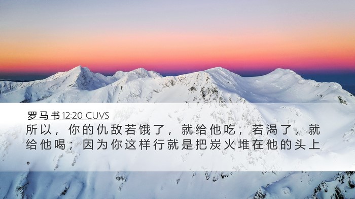 罗 马 书 12:20 CUVS Bible Verse Image