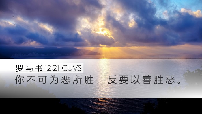 罗 马 书 12:21 CUVS Bible Verse Image