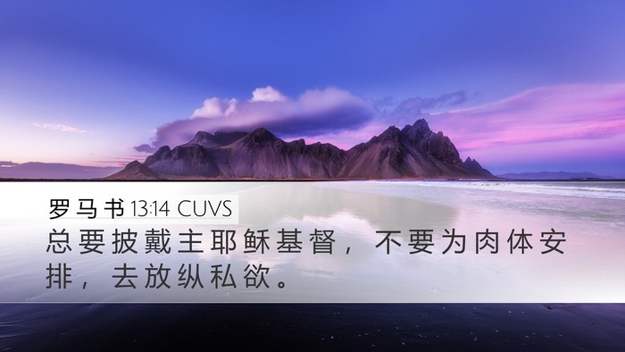 罗 马 书 13:14 CUVS Bible Verse Image