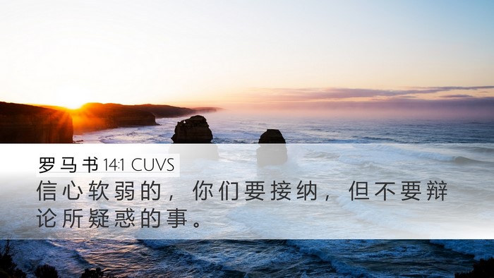 罗 马 书 14:1 CUVS Bible Verse Image