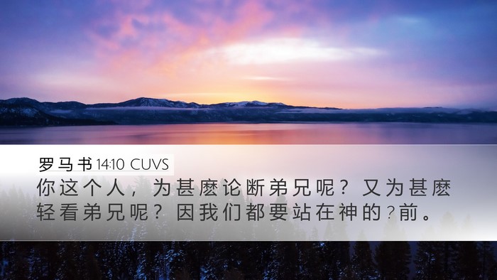 罗 马 书 14:10 CUVS Bible Verse Image
