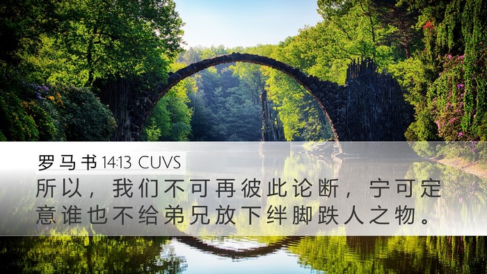 罗 马 书 14:13 CUVS Bible Verse Image
