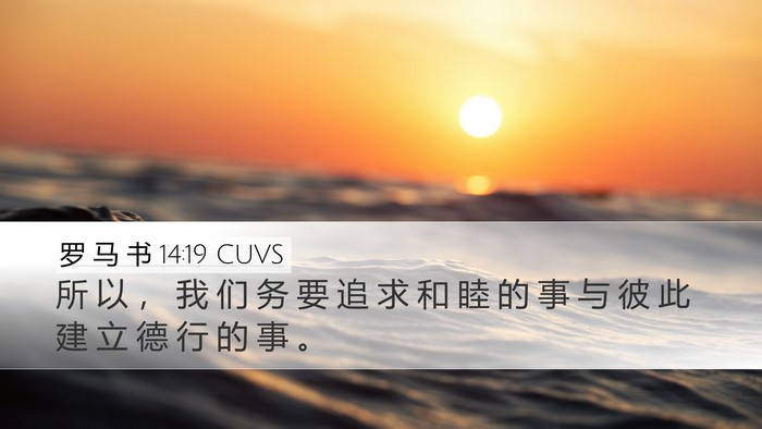 罗 马 书 14:19 CUVS Bible Verse Image