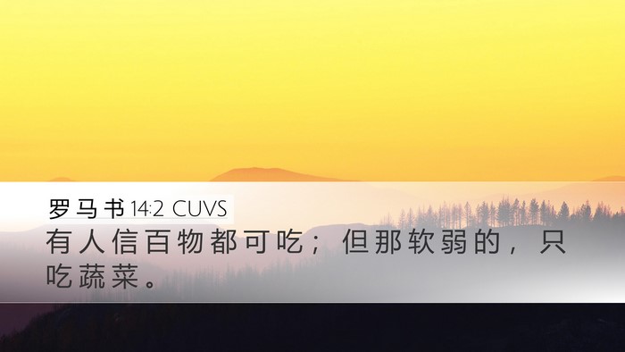 罗 马 书 14:2 CUVS Bible Verse Image