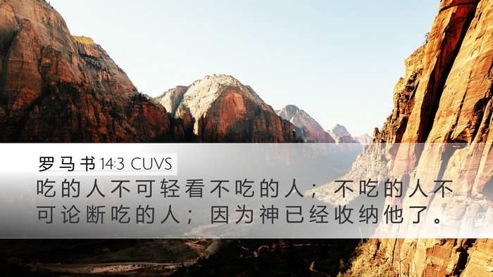 罗 马 书 14:3 CUVS Bible Verse Image