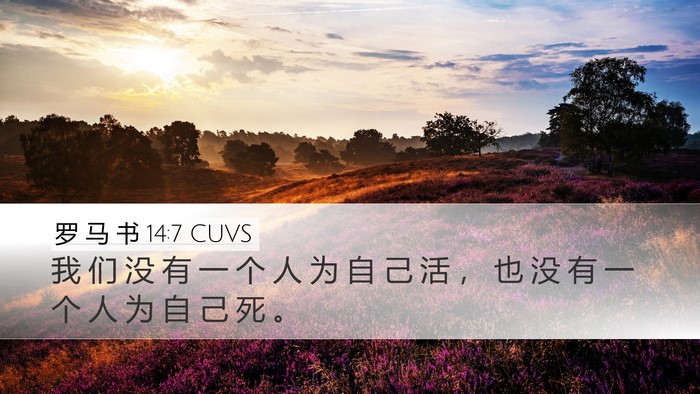 罗 马 书 14:7 CUVS Bible Verse Image