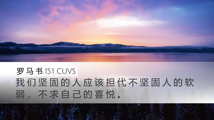 罗 马 书 15:1 CUVS Bible Verse Image