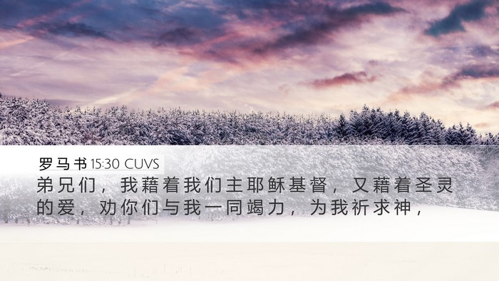 罗 马 书 15:30 CUVS Bible Verse Image