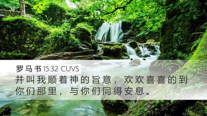 罗 马 书 15:32 CUVS Bible Verse Image