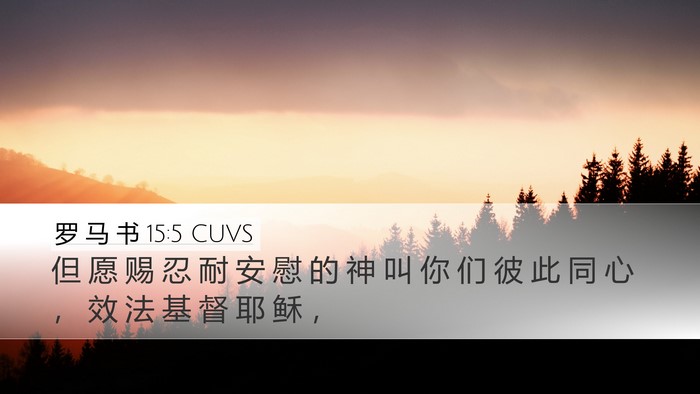 罗 马 书 15:5 CUVS Bible Verse Image
