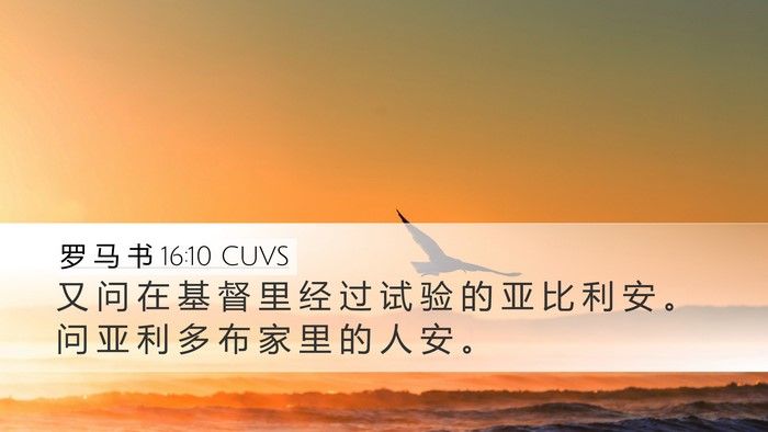 罗 马 书 16:10 CUVS Desktop Wallpaper - 又 问 在 基 督 里 经 过 试 验 的 亚 - Desktop Bible Verse Wallpaper