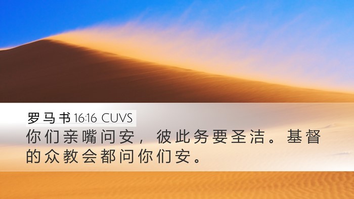 罗 马 书 16:16 CUVS Bible Verse Image