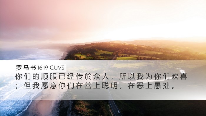 罗 马 书 16:19 CUVS Bible Verse Image