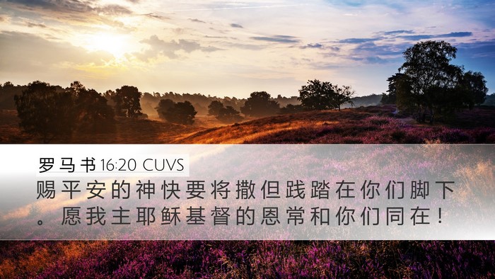 罗 马 书 16:20 CUVS Bible Verse Image