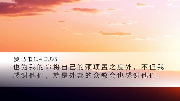罗 马 书 16:4 CUVS Bible Verse Image