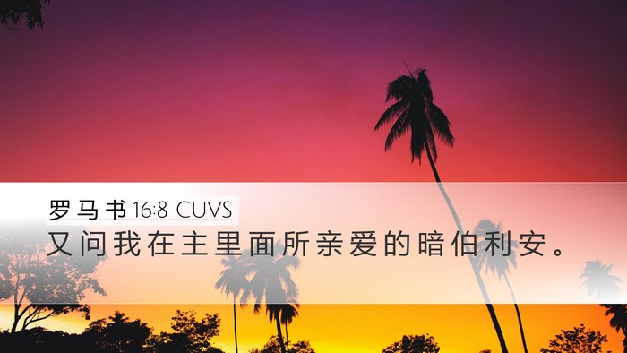 罗 马 书 16:8 CUVS Desktop Wallpaper - 又 问 我 在 主 里 面 所 亲 爱 的 暗 - Desktop Bible Verse Wallpaper