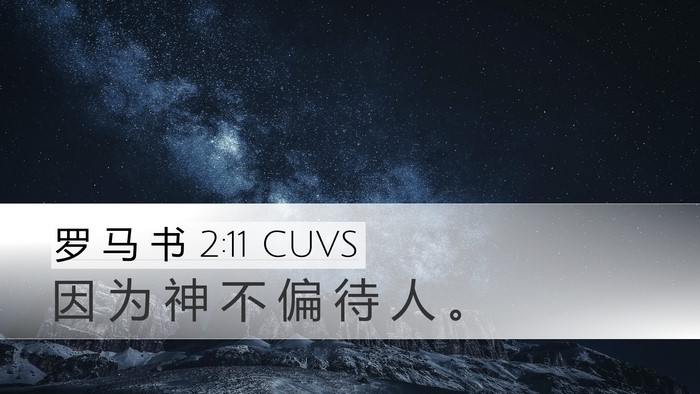 罗 马 书 2:11 CUVS Bible Verse Image