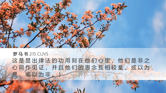 罗 马 书 2:15 CUVS Bible Verse Image