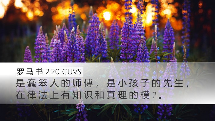 罗 马 书 2:20 CUVS Bible Verse Image
