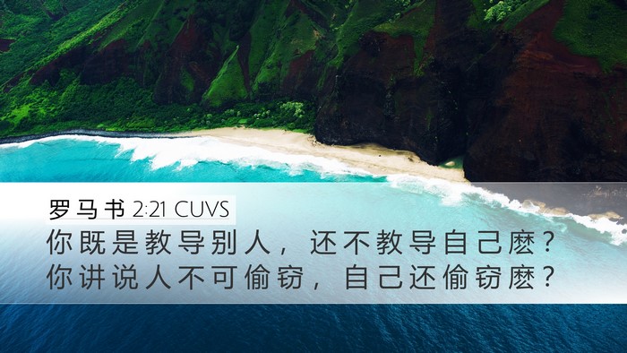 罗 马 书 2:21 CUVS Bible Verse Image