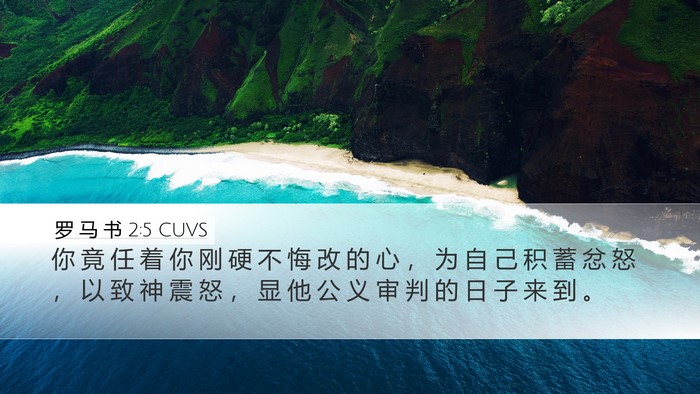 罗 马 书 2:5 CUVS Bible Verse Image