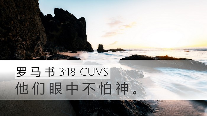 罗 马 书 3:18 CUVS Bible Verse Image