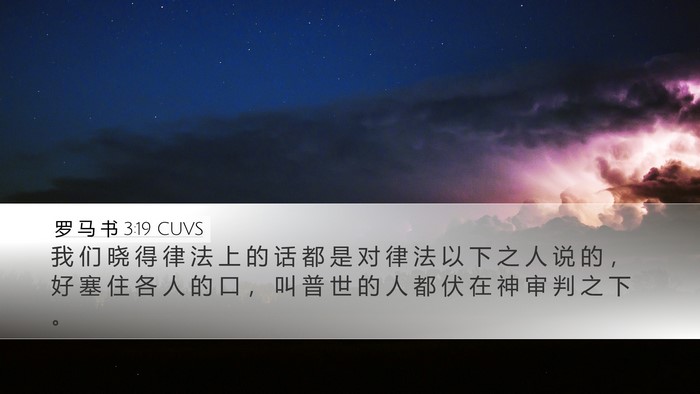 罗 马 书 3:19 CUVS Bible Verse Image